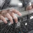 spider di google